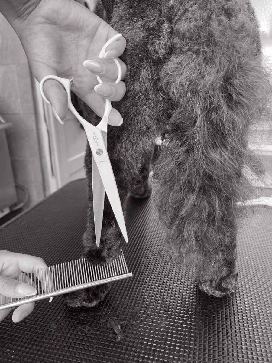 Cambridge House Dog Grooming_Grooming Details