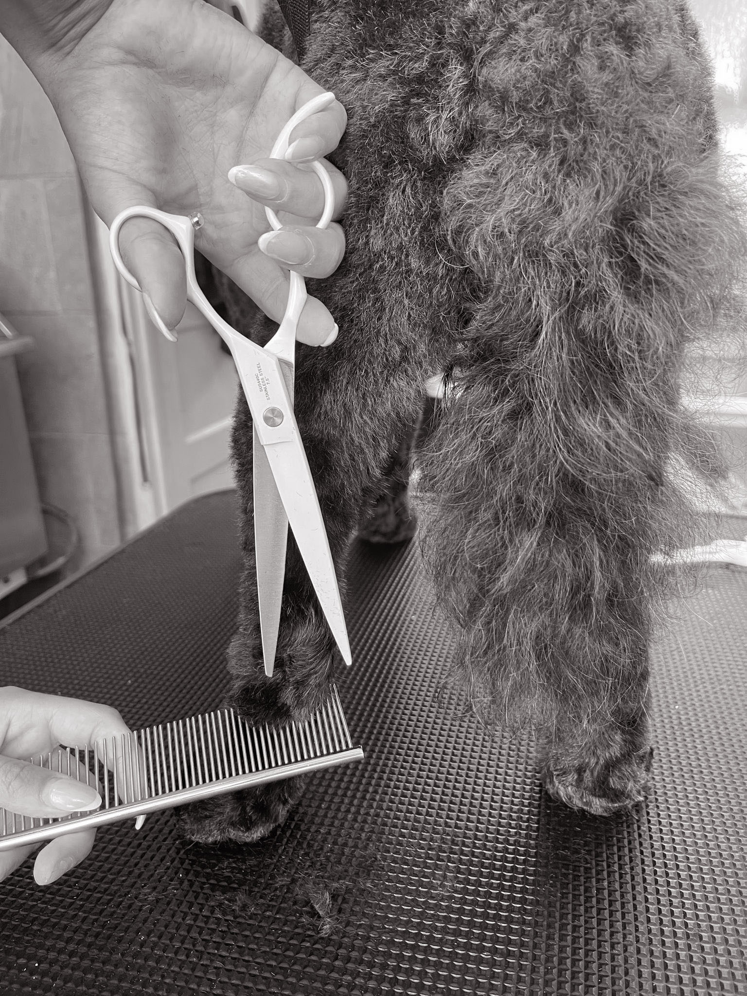 Cambridge House Dog Grooming_Grooming Details