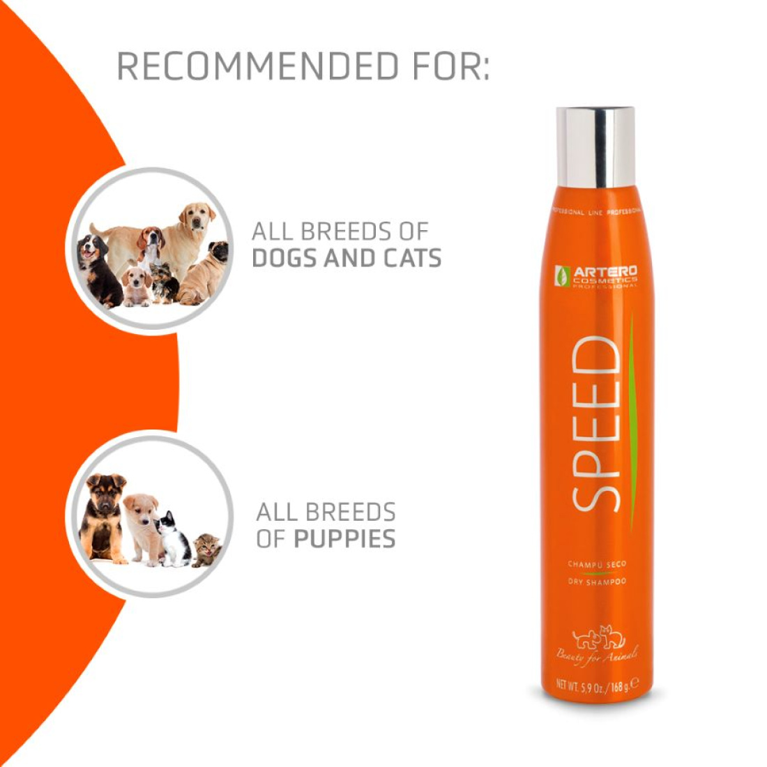 Artero Speed Dry Shampoo 300ml