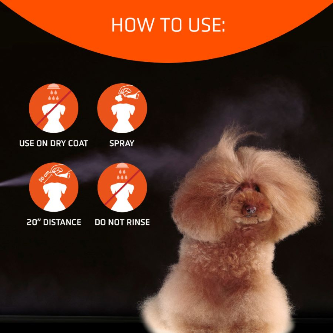 Artero Speed Dry Shampoo 300ml