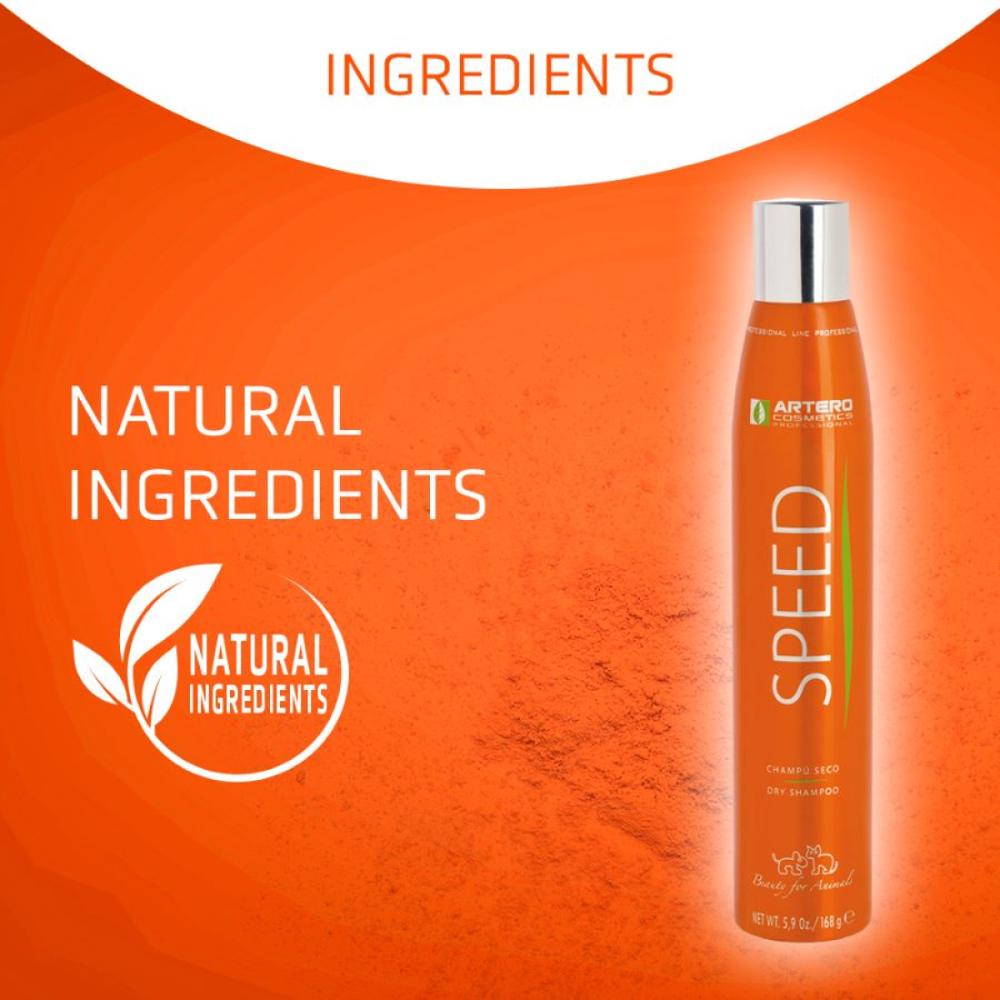 Artero Speed Dry Shampoo 300ml