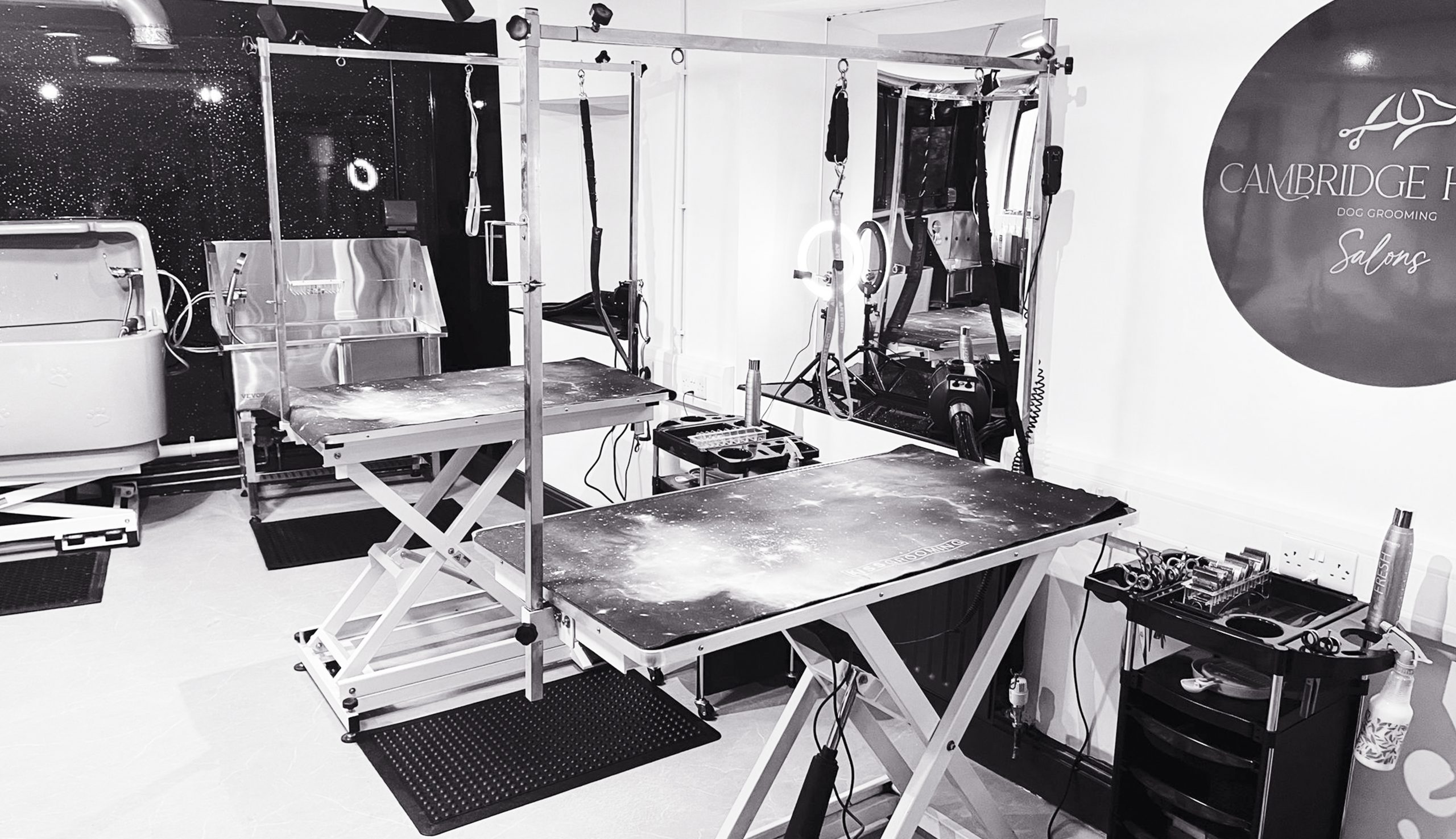 Golden Retriever Dog In A Grooming Salon Is Taking A Shower