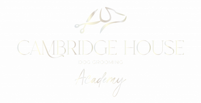 Cambridge_House_Academy