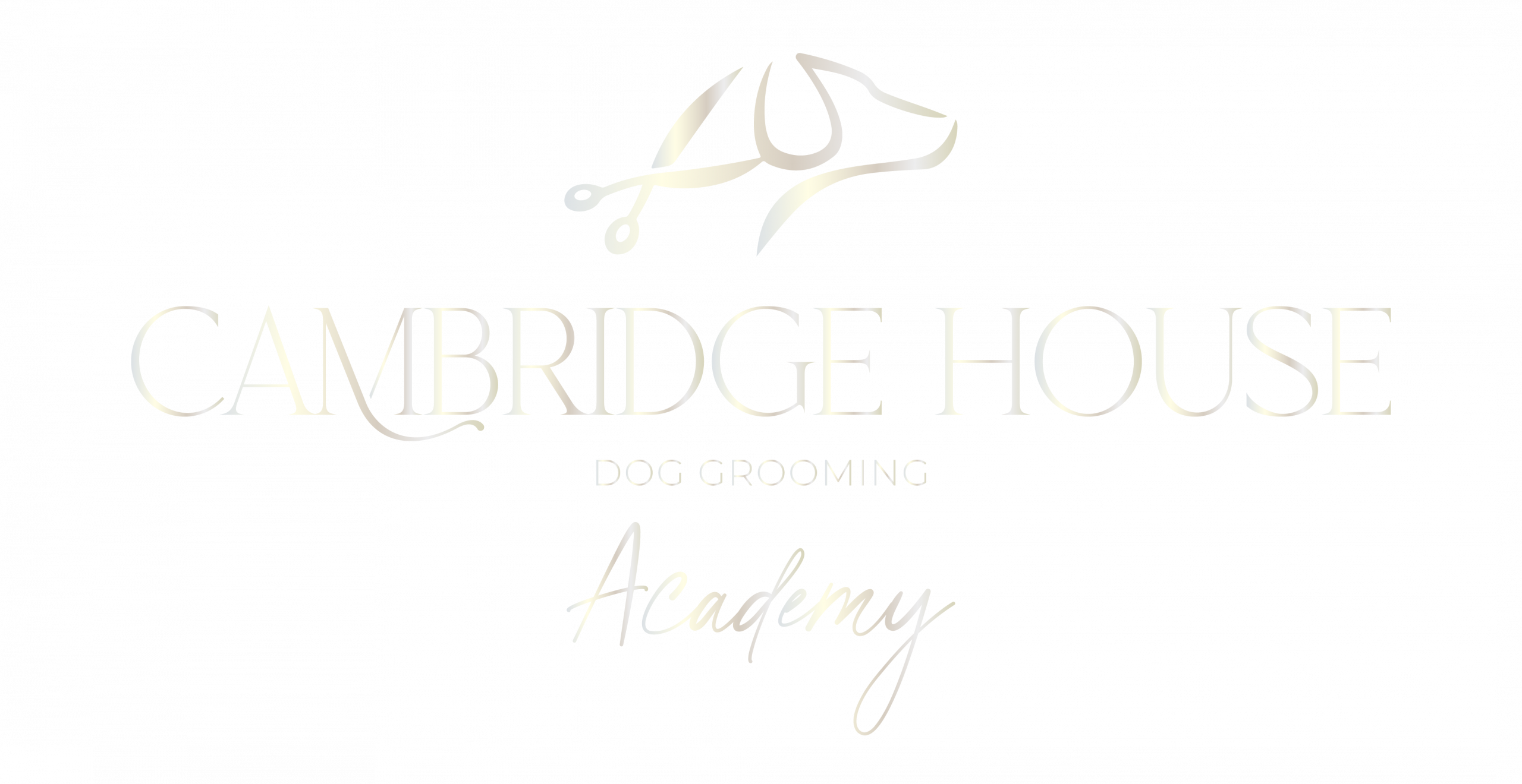 Cambridge_House_Academy