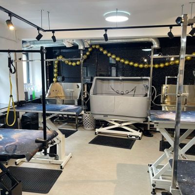 Cambridge House Dog Grooming_32 Cambridge House Dog Grooming_32