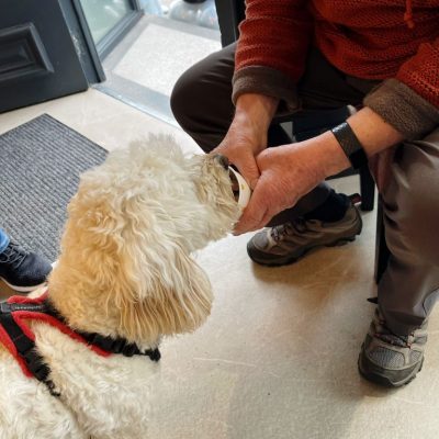 Cambridge House Dog Grooming_34 Cambridge House Dog Grooming_34