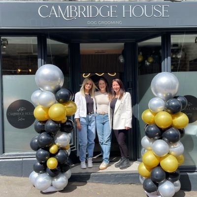 Cambridge House Dog Grooming_39 Cambridge House Dog Grooming_39