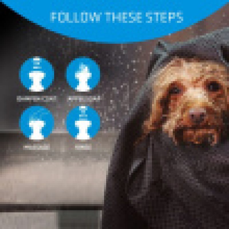 Artero Baby Shampoo 100ml