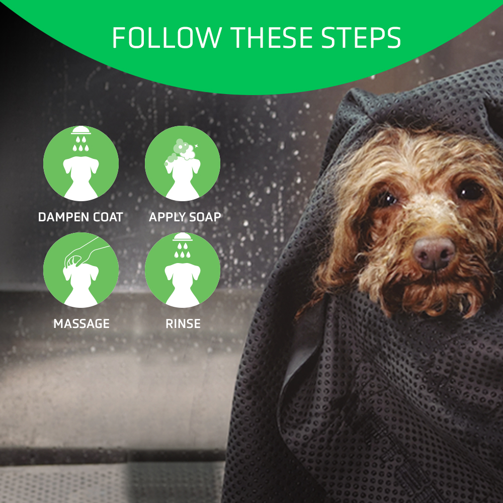 Artero Basic Shampoo 100ml