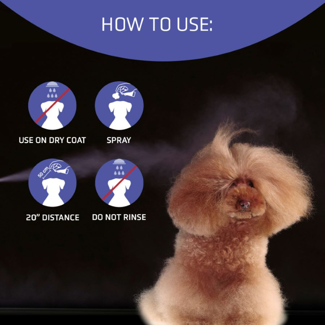 Artero Big Bang 300ml