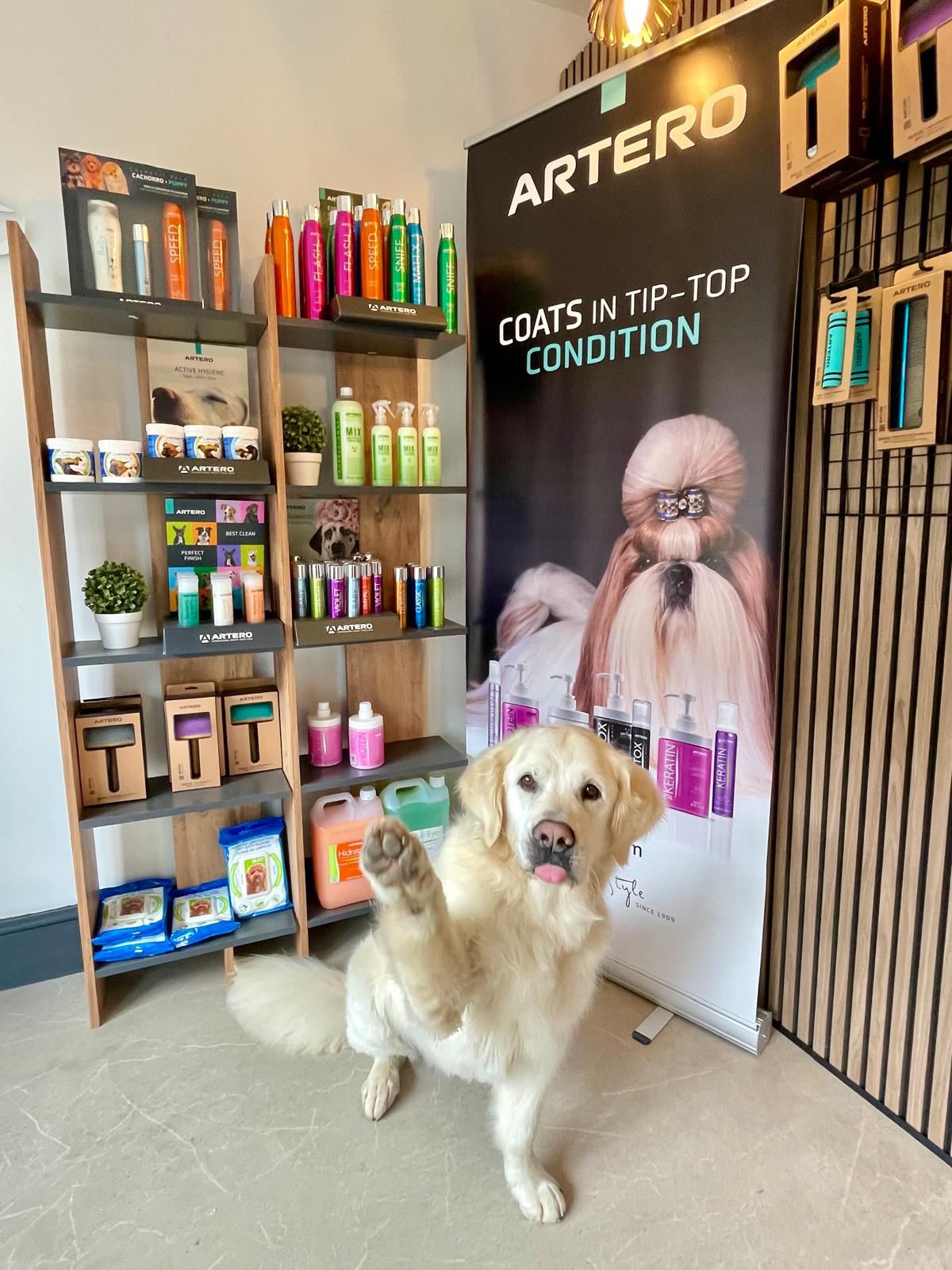 Cambridge-House-Dog-Grooming-50 Cambridge-House-Dog-Grooming-50