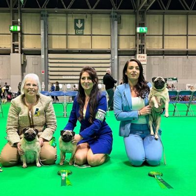 Cambridge-House-Dog-Grooming-53 Cambridge-House-Dog-Grooming-53