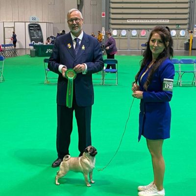 Cambridge-House-Dog-Grooming-55 Cambridge-House-Dog-Grooming-55